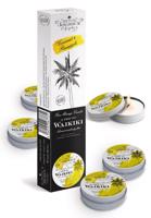 Petits Joujoux Waikiki - sada masážních svíček - kokos-ananas (5 x 43 ml)